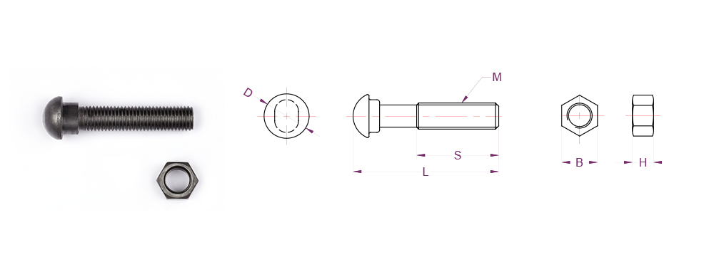 ��������Ʈ��